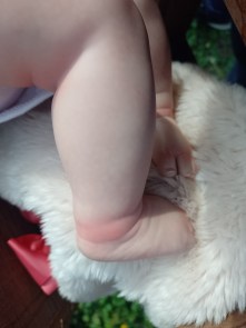 IMG_20230427_101233_948